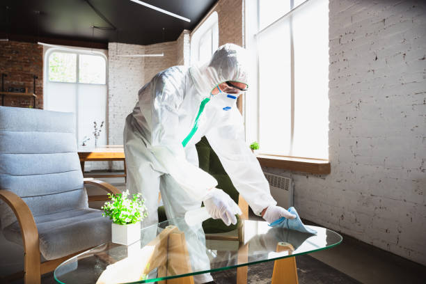 Best Emergency Mold Remediation in Rockport, IN