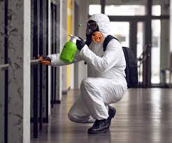 Best Mold Remediation for Healthcare Facilities in Rockport, IN